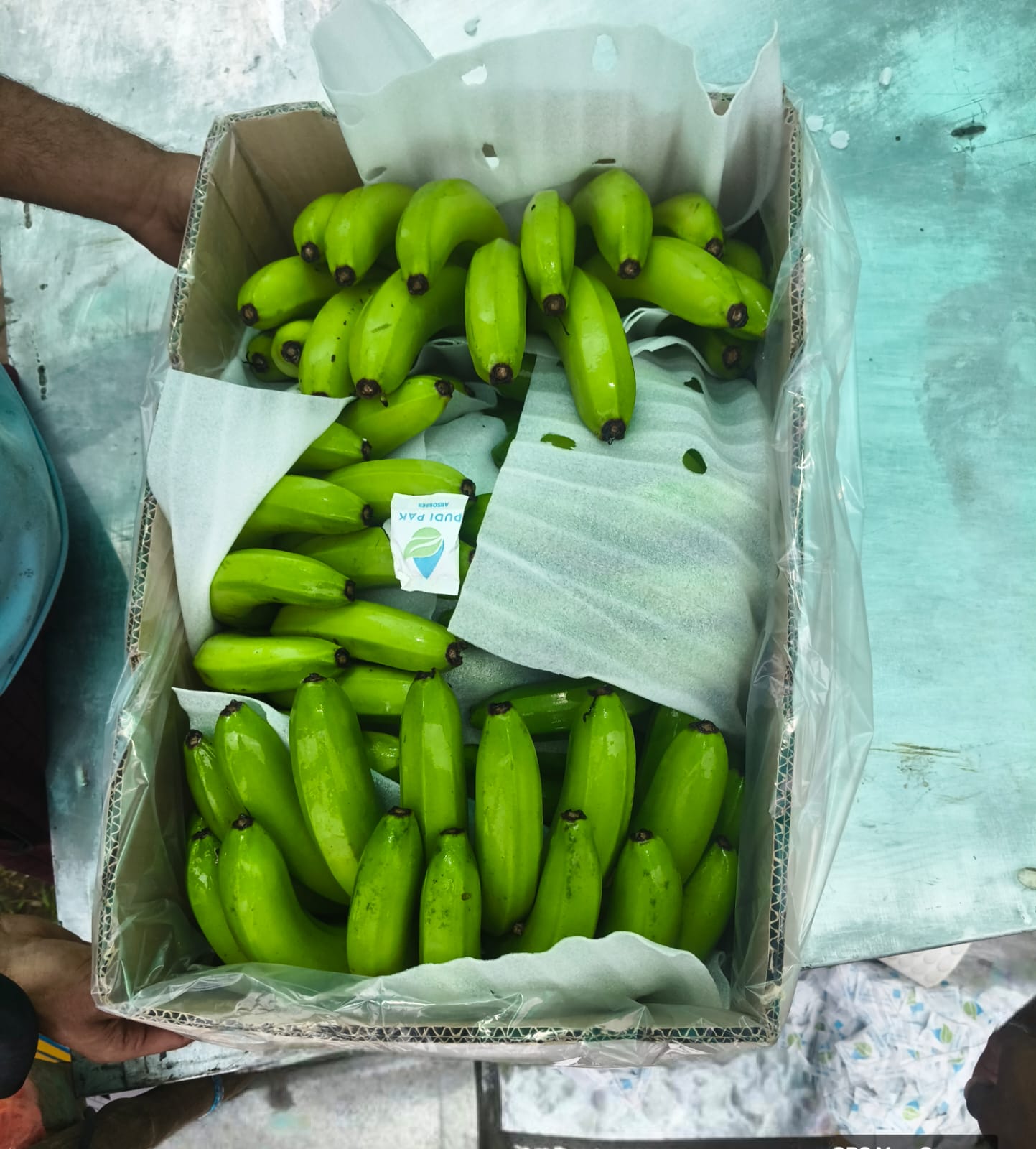 Quality Bananas